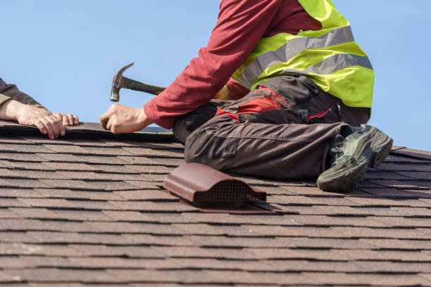 Best Gutter Installation and Roofing  in Cary, NC